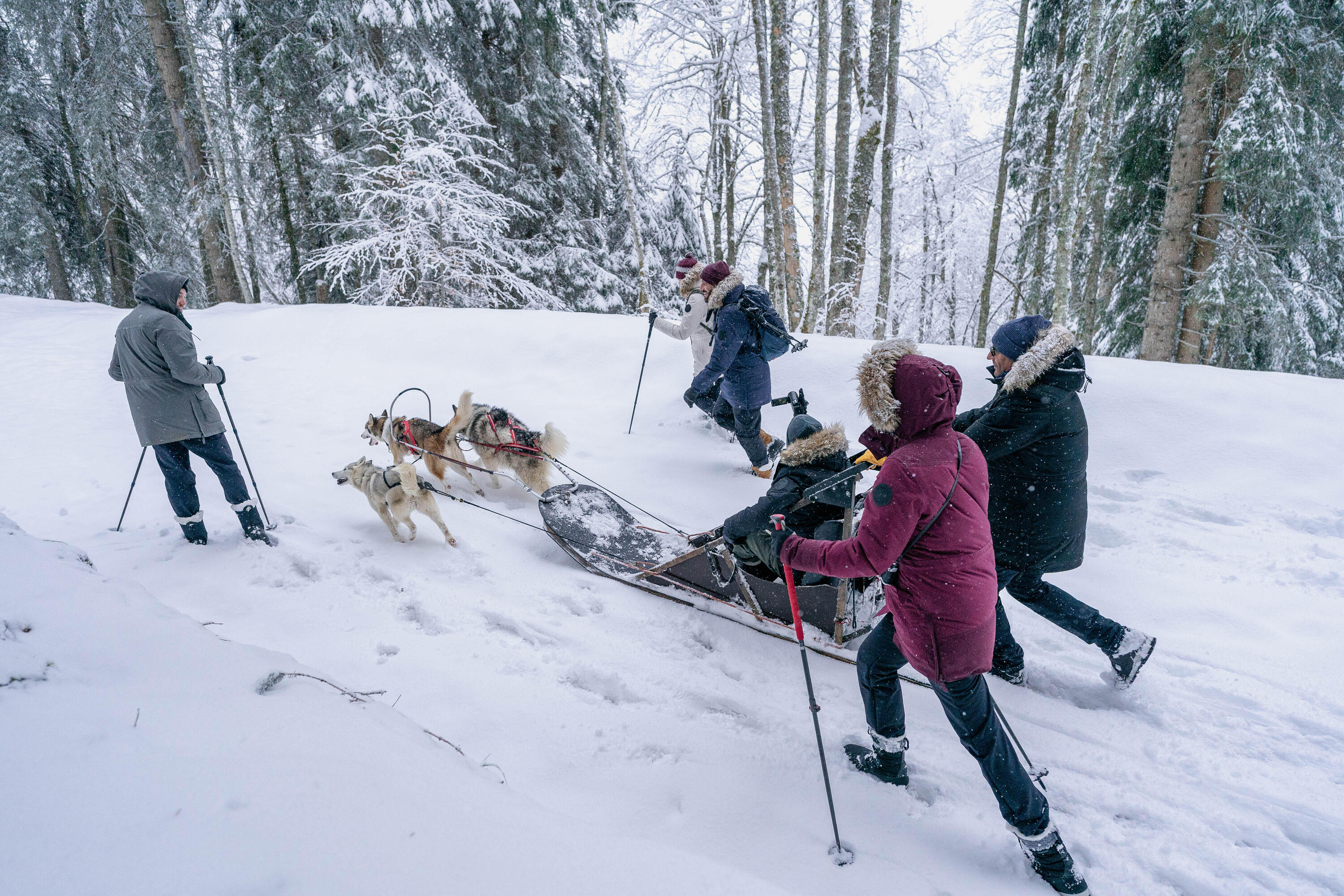 {*[[contextphoto]]*}