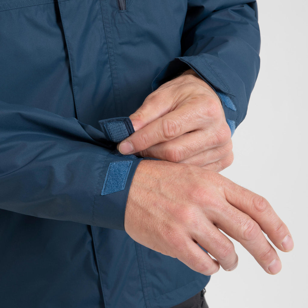 {*whale-gray-8731538*}