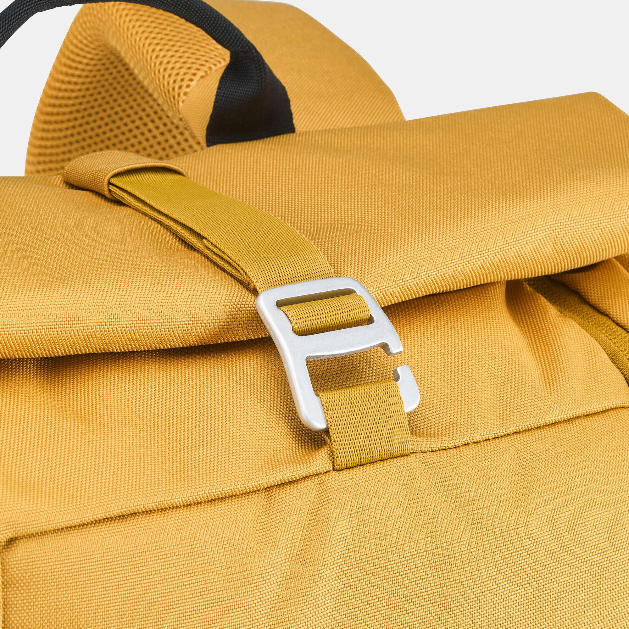 {*yellow-ochre-8736386*}