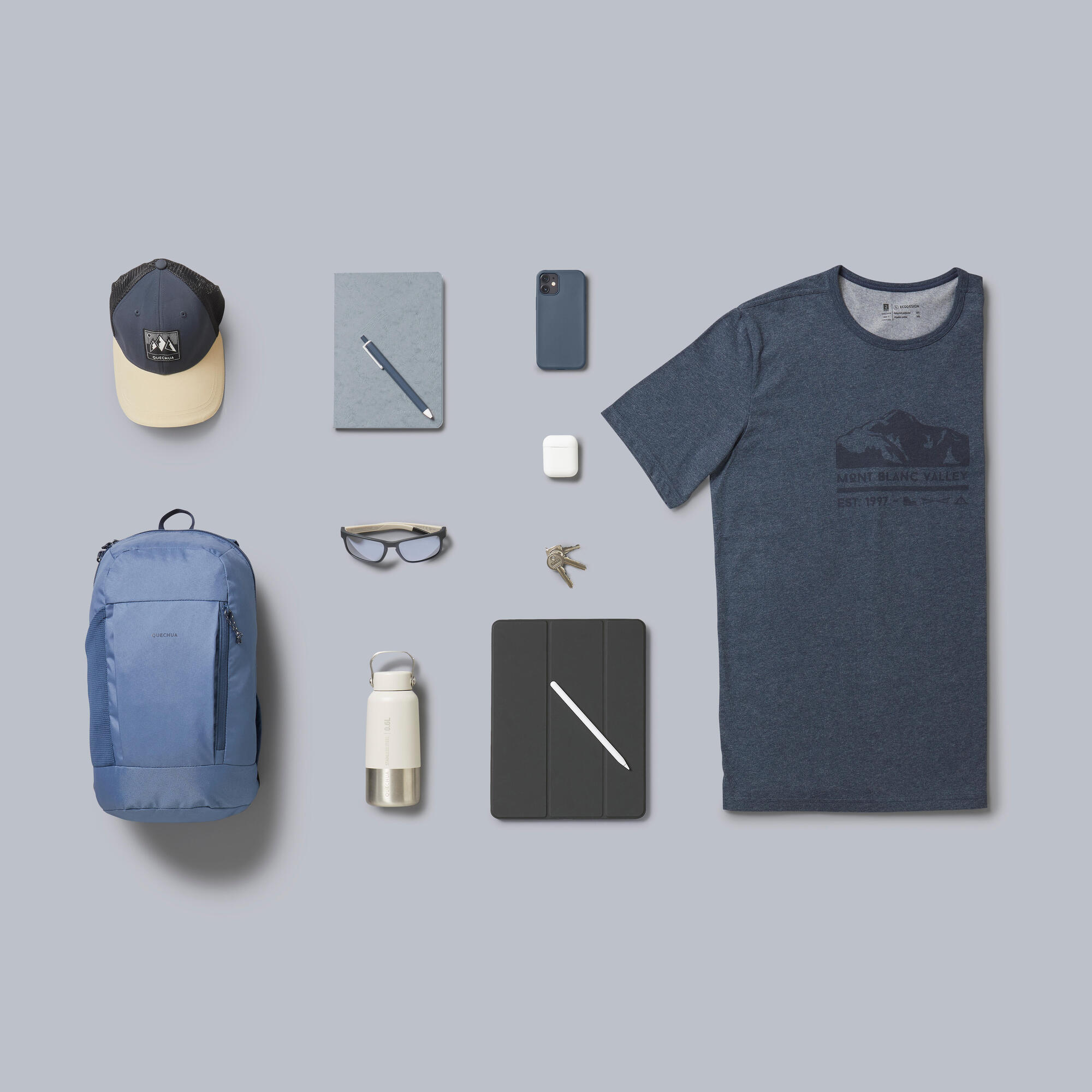 {*whale-gray-8775637*}