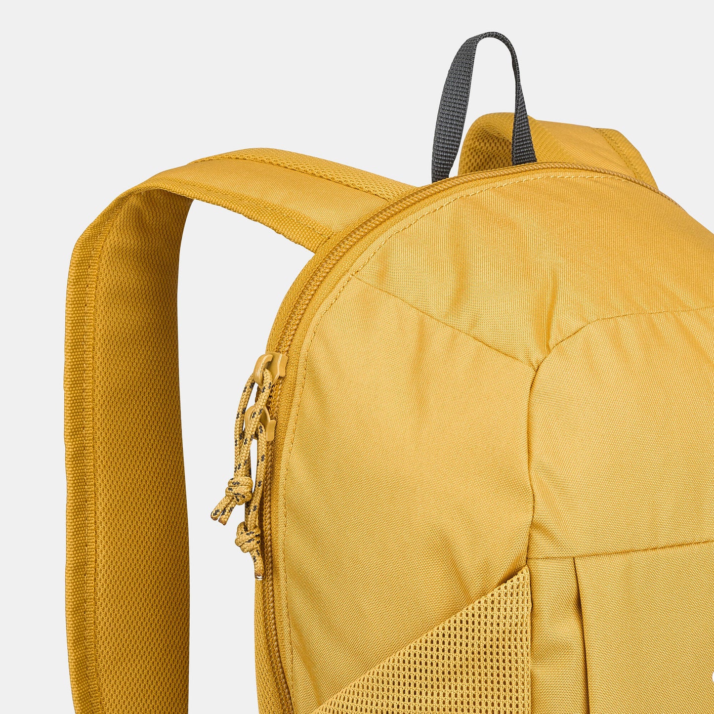 {*yellow-ochre-8789421*}