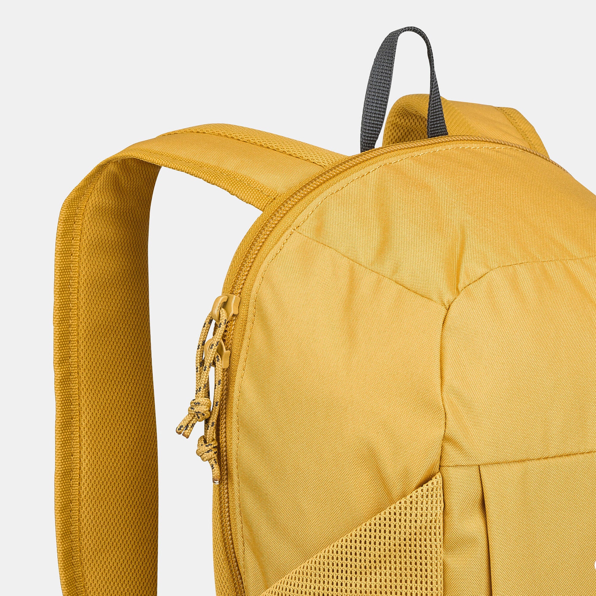 {*yellow-ochre-8789421*}