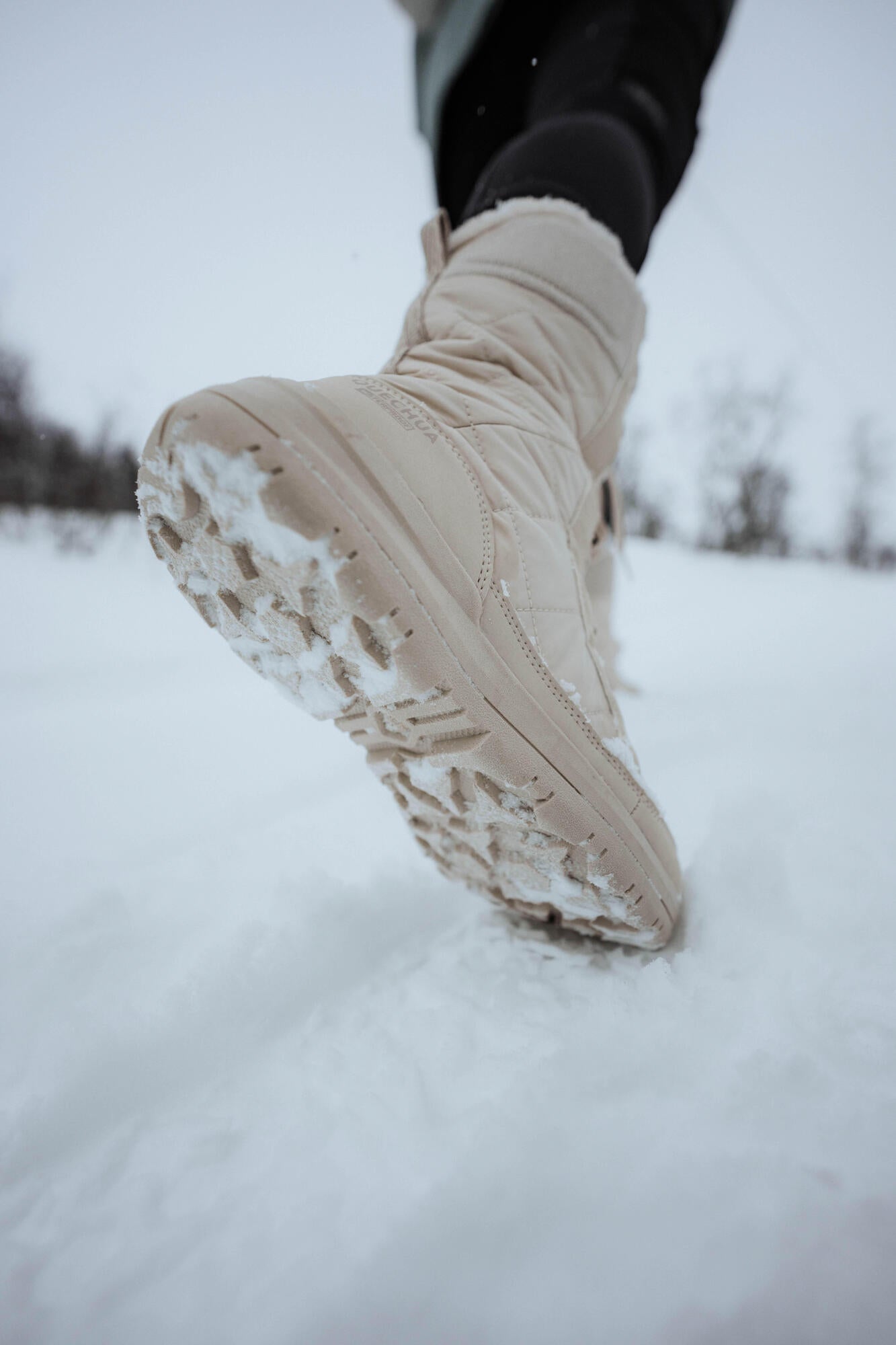 {*[[contextphoto]]*}