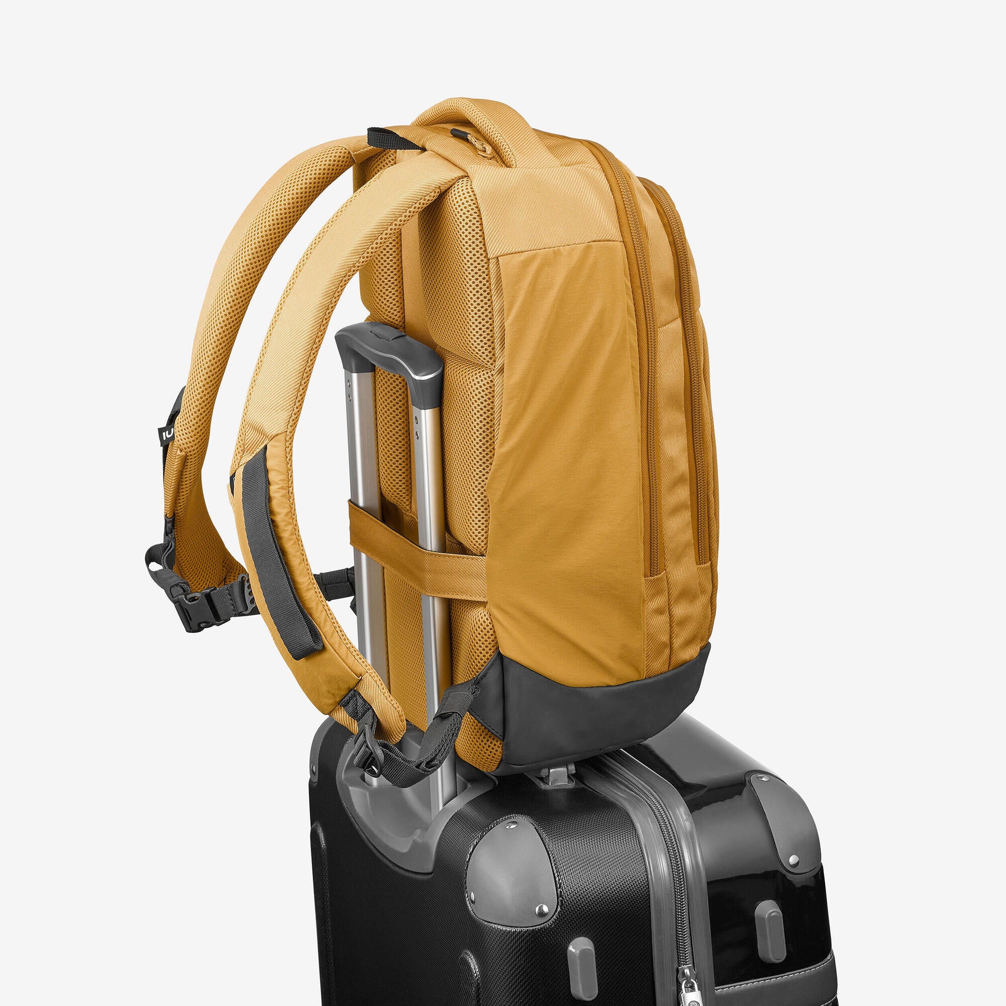 {*yellow-ochre-8844302*}