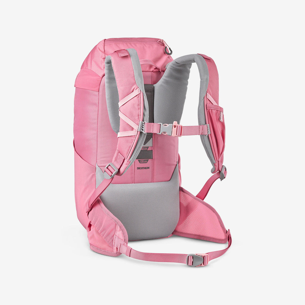 {*pink-8916583*}