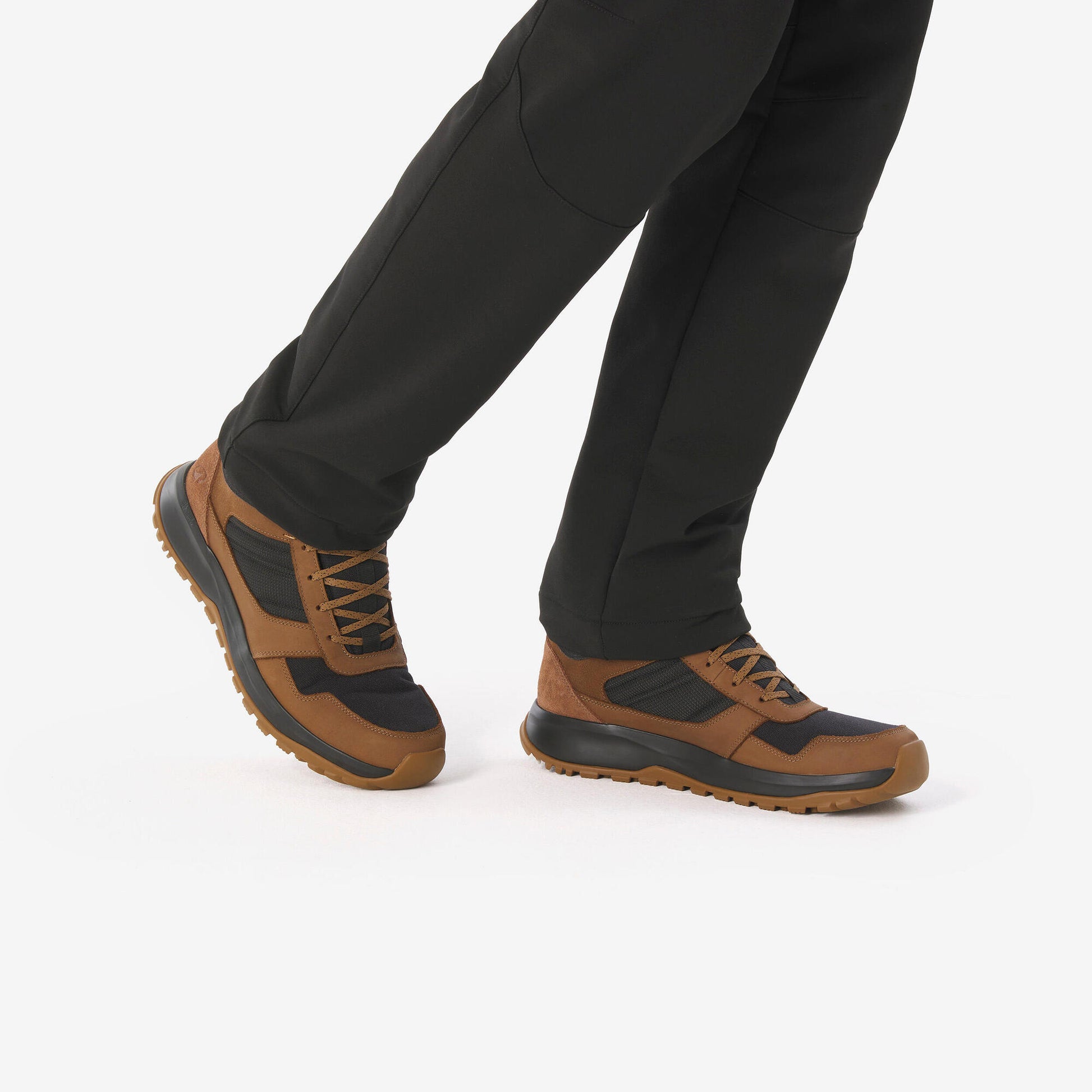 {*golden-chestnut-8928705*}