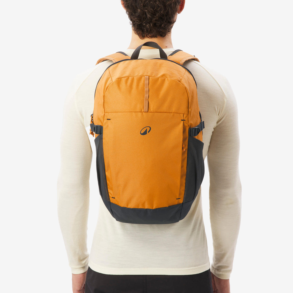 Hiking backpack 20 L, Arpenaz 100 - Brown - 8955895