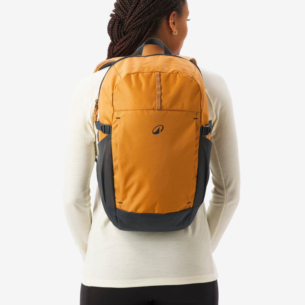 Hiking backpack 20 L, Arpenaz 100 - Brown - 8955895