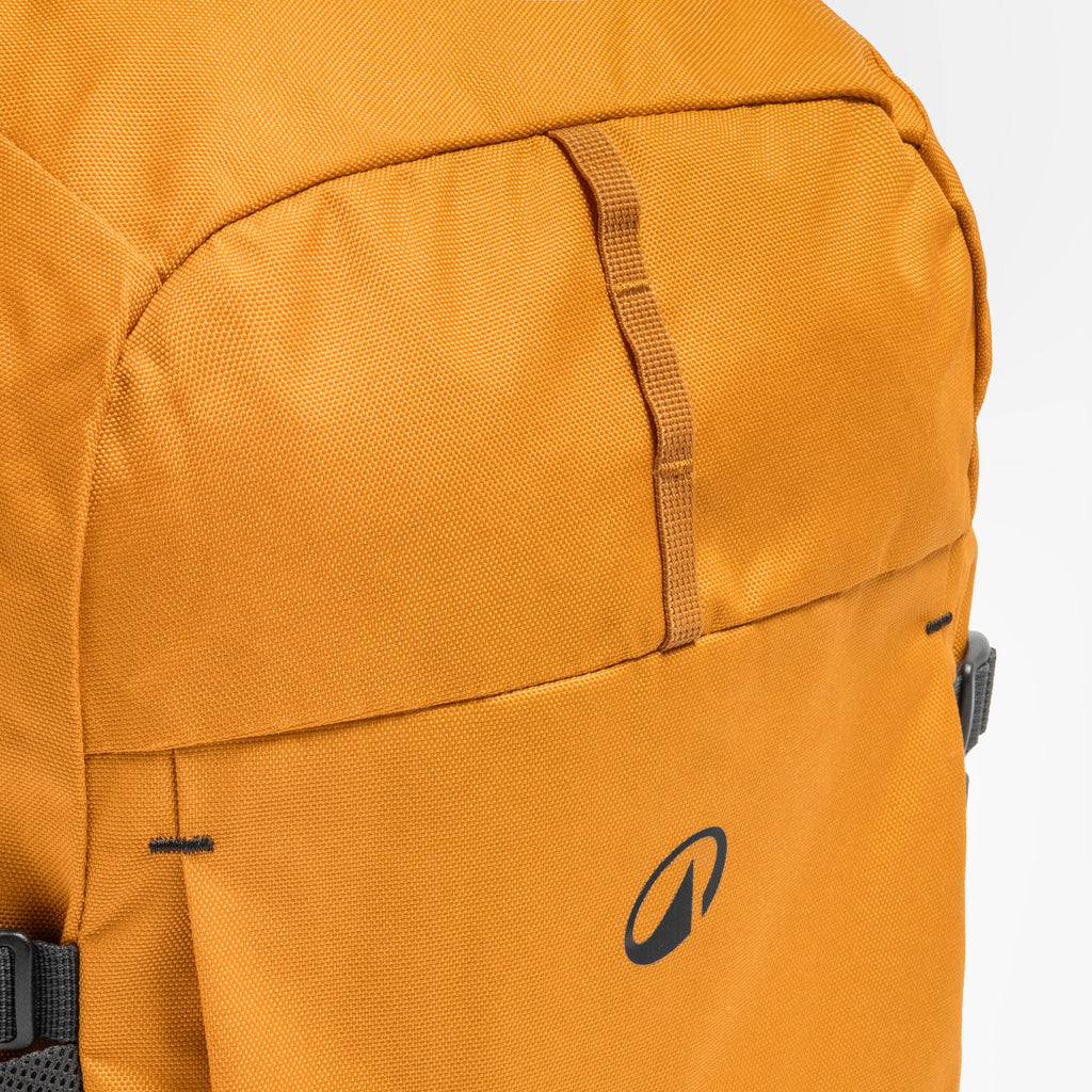 Hiking backpack 20 L, Arpenaz 100 - Brown - 8955895