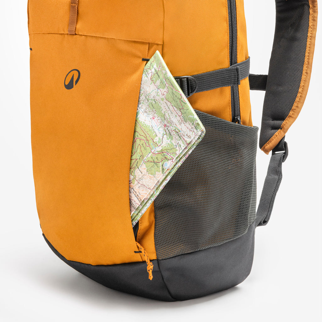 Hiking backpack 20 L, Arpenaz 100 - Brown - 8955895