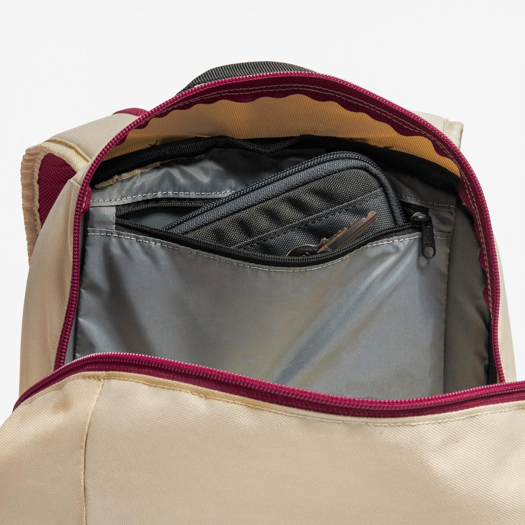 20L hiking backpack Arpenaz 100 - Purple - 8955900