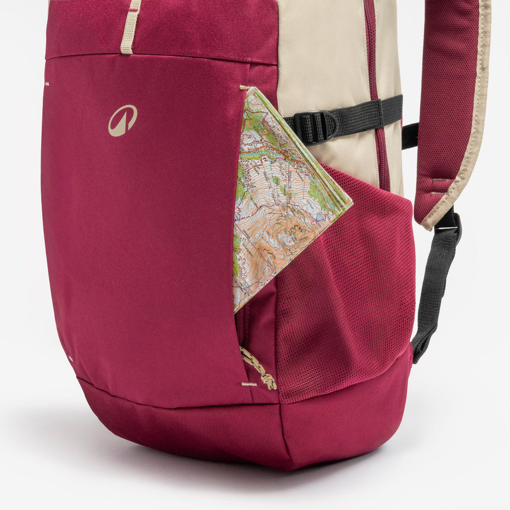 20L hiking backpack Arpenaz 100 - Purple - 8955900