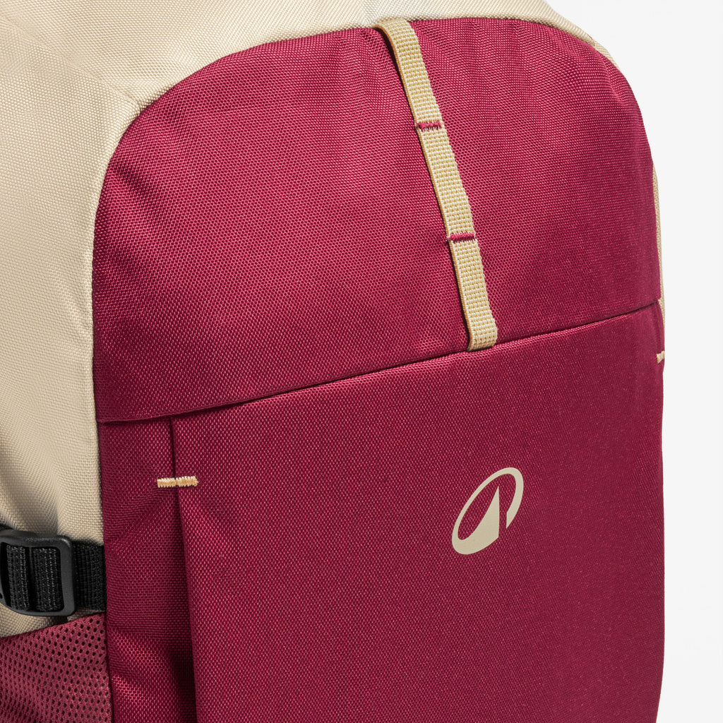 20L hiking backpack Arpenaz 100 - Purple - 8955900