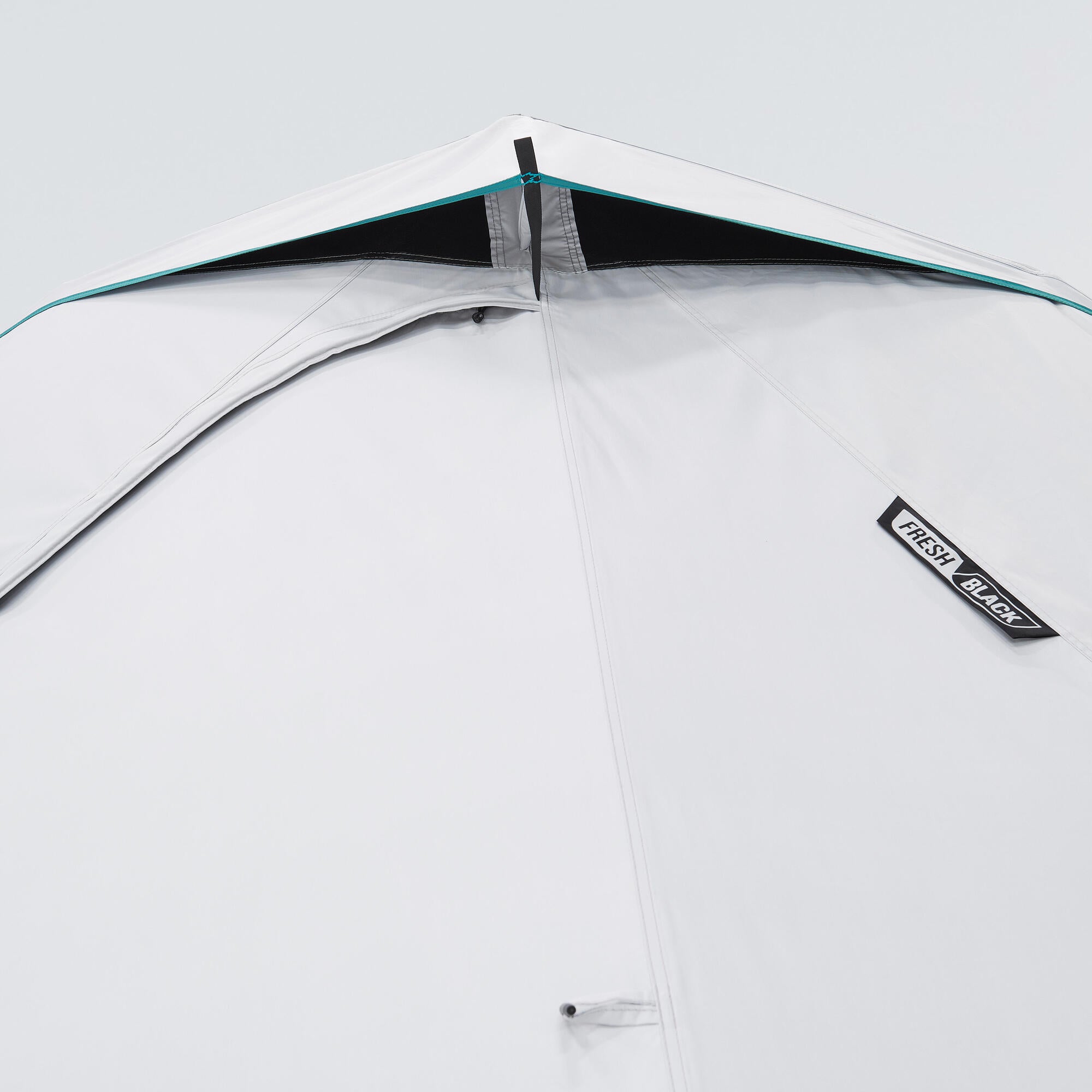 {*snow-white-8957947*}