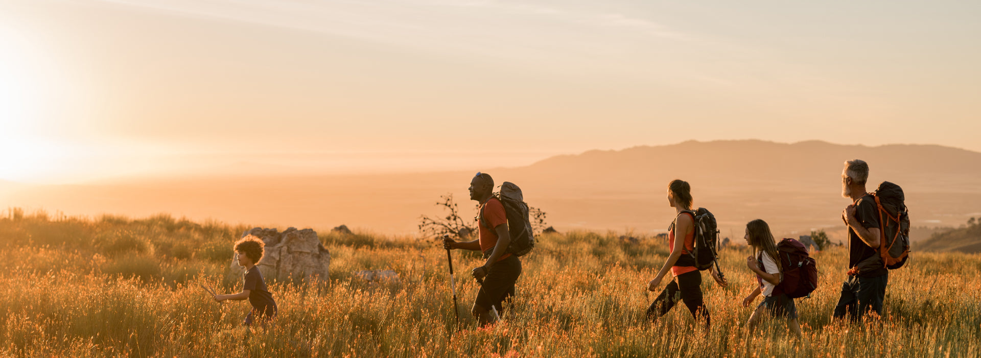 A group of 5 hiking during golden hour among tall grass