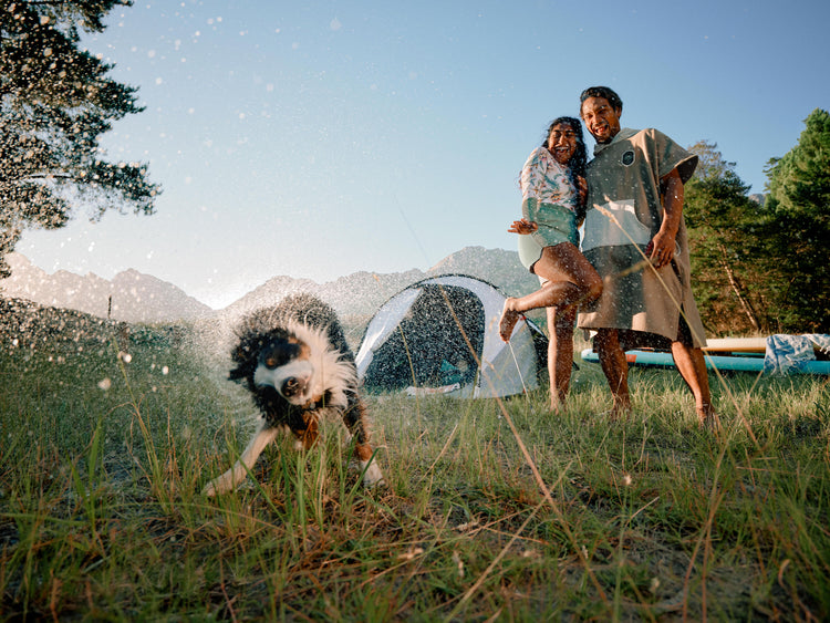 Two people and a dog playing in a grassy field with mountains in the background